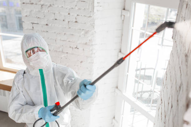 Best Asbestos and Lead Testing During Mold Inspection  in Newfoundland, NJ
