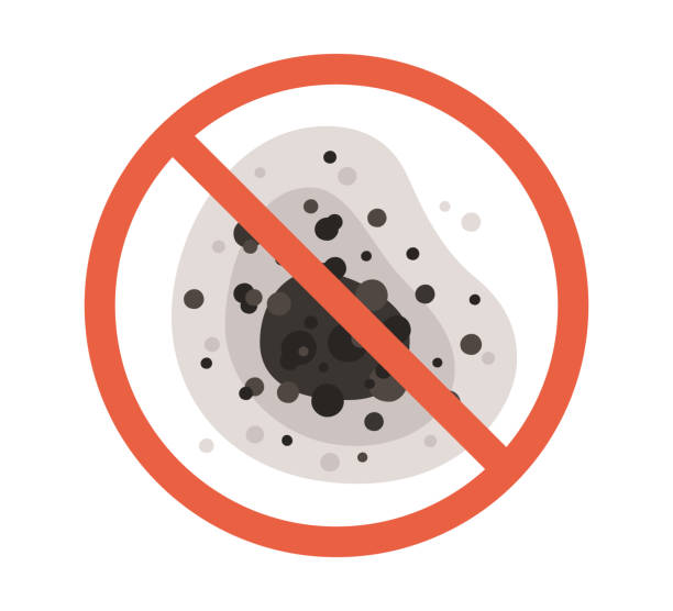 Best Comprehensive Air Testing for Mold Contaminants  in Newfoundland, NJ