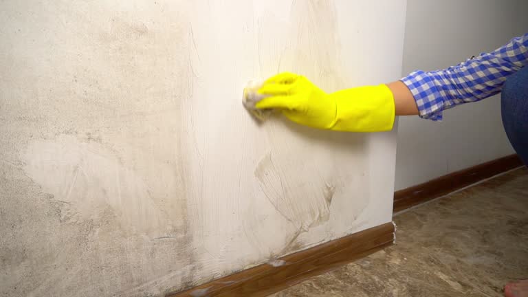 Best Water Damage & Mold Remediation  in Newfoundland, NJ