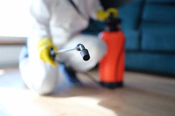 Environmental Consulting for Mold Prevention in Newfoundland, NJ