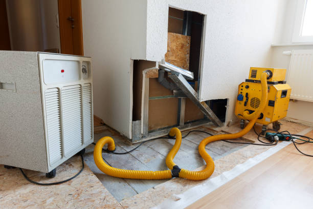 Best Mold Damage Restoration  in Newfoundland, NJ