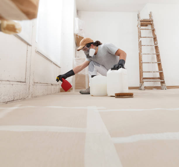 Best Post-Remediation Verification Testing  in Newfoundland, NJ