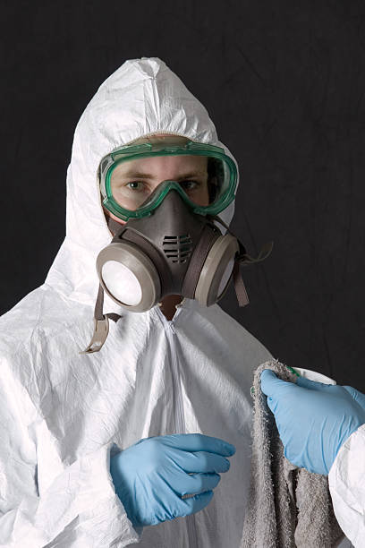 Trusted Newfoundland, NJ Mold Removal Experts